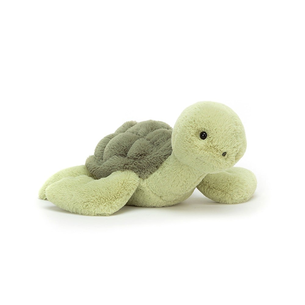 Image de 'Jelly tully tortue'