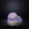 Bild von Flow ours polair Bjorn projector