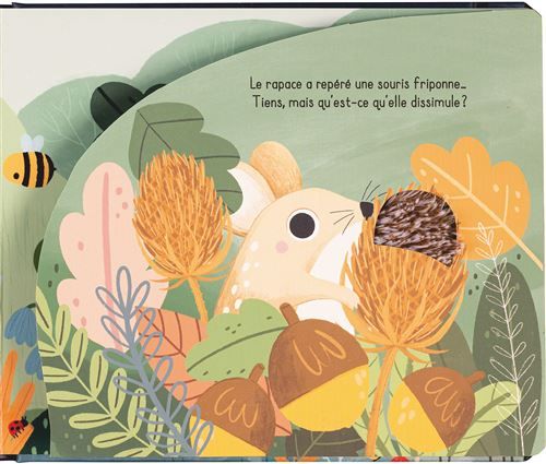 9791026404897-douce-nuit-petit-lapin