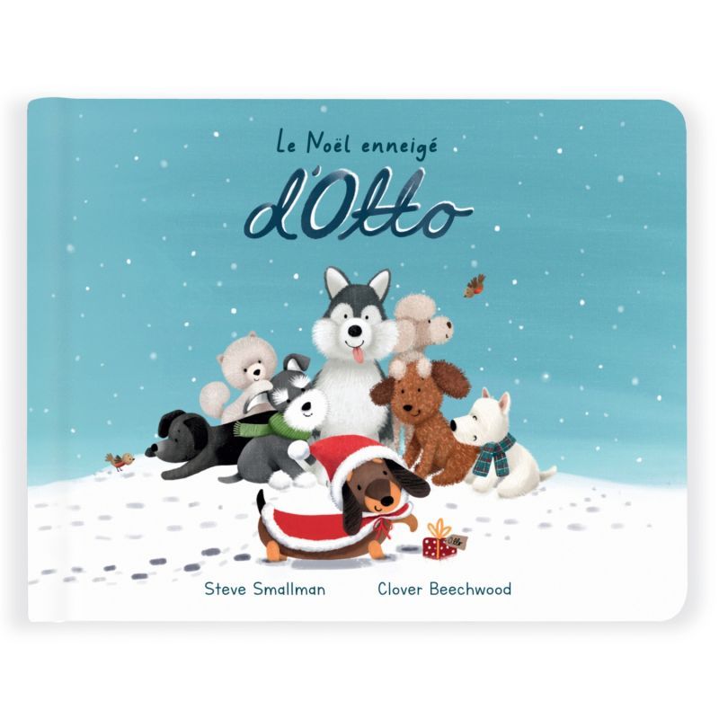 670983155501-le-noel-enneige-dotto-livre