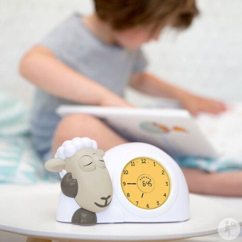 680569805577-entraineur-de-sommeil-mouton-sam